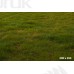 Tło fotograficzne Owoce 3570